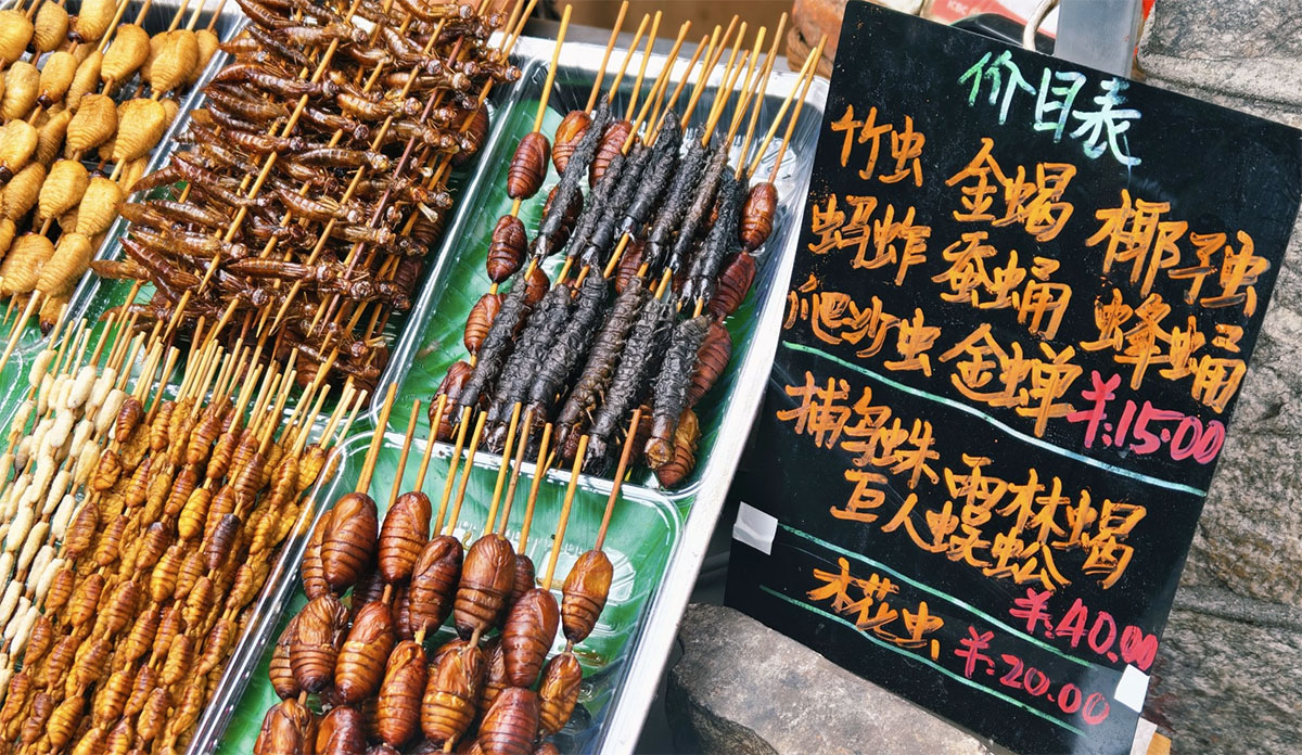云南虫谷价格