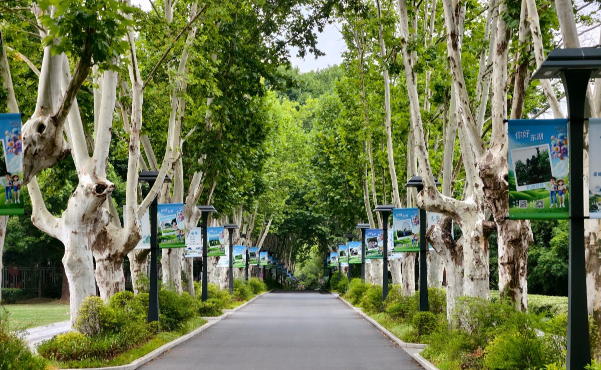 磨山风景区