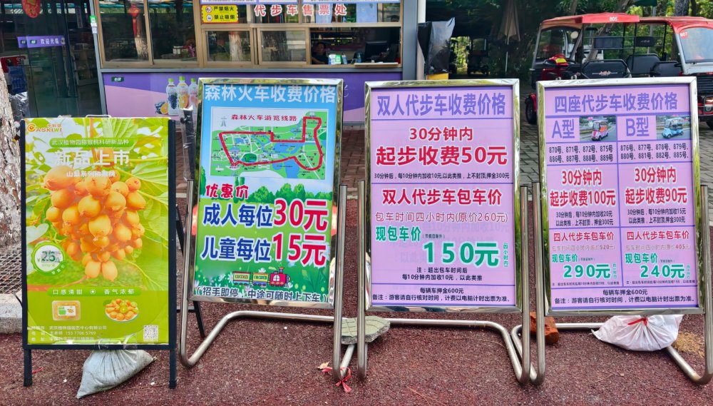 武汉植物园-代步车价格