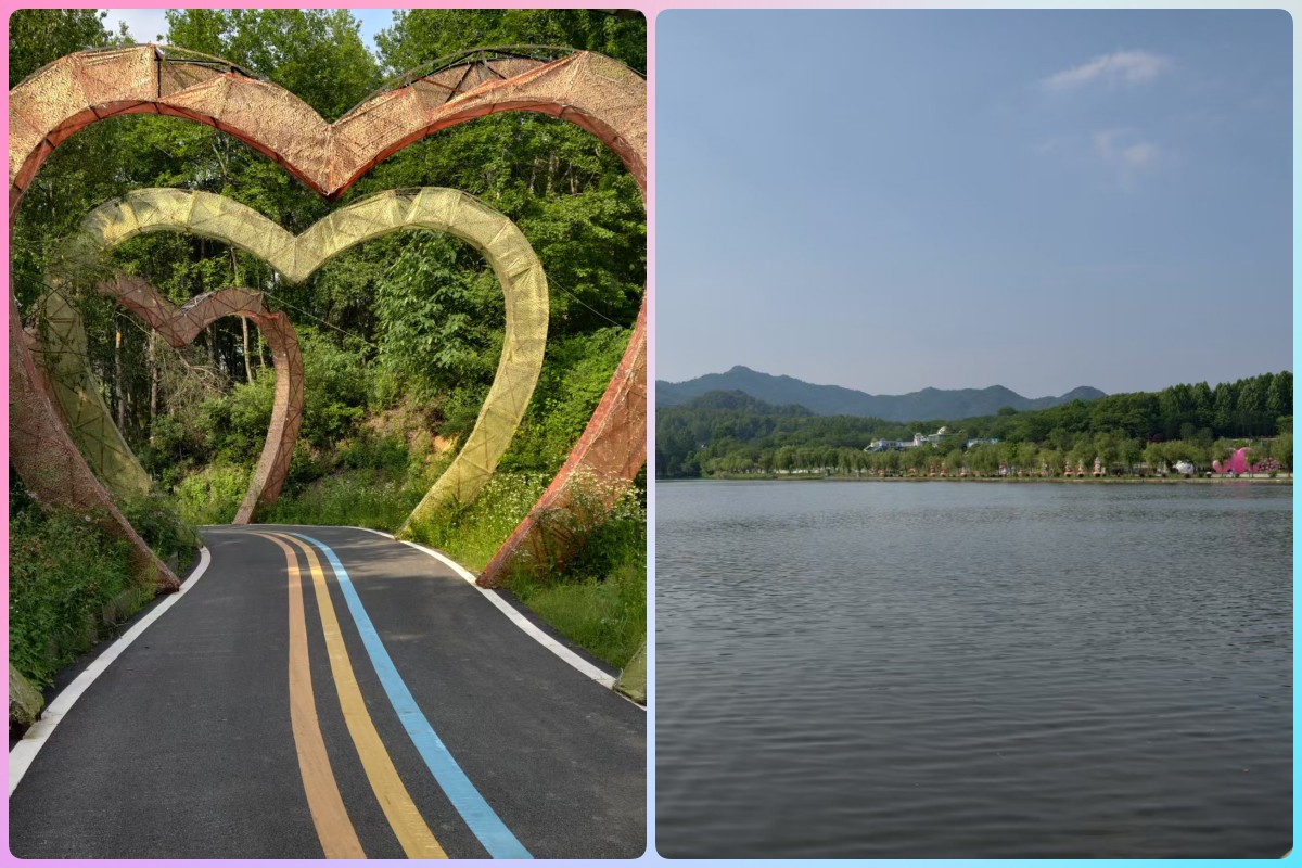 玫瑰园
