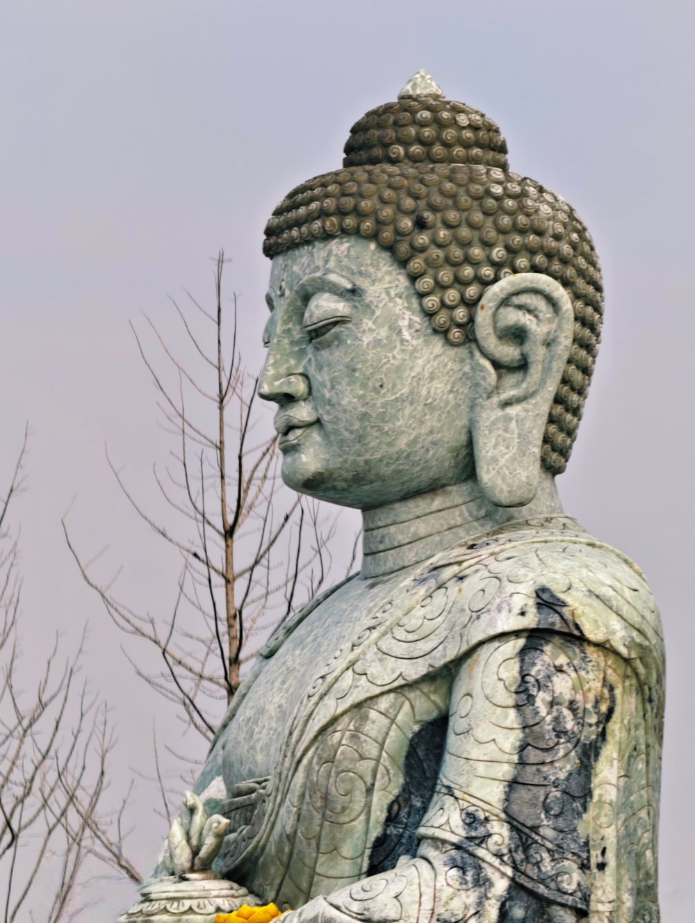 武汉江夏莲华寺-佛主